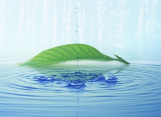 中华人民共和国地表水环境质量标准